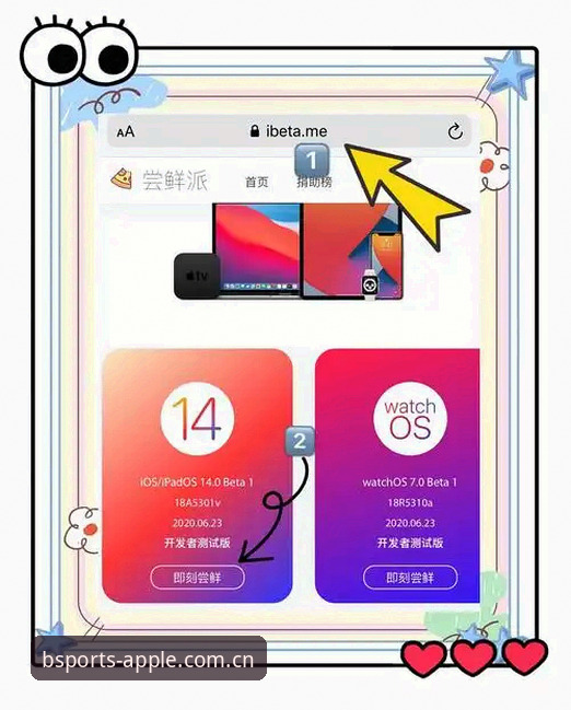 b体育平台苹果版旧版本回归：一份亲测重装的实用指南